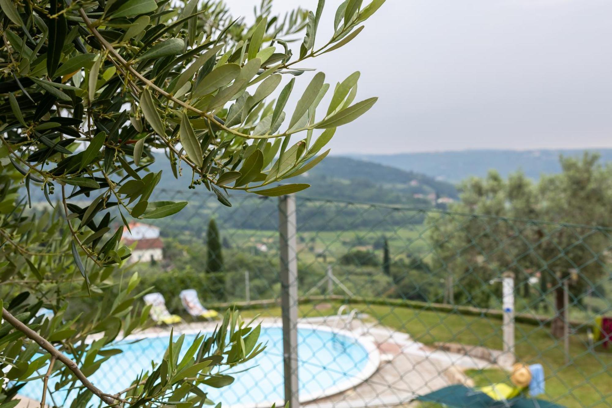 Apartments Cipresa Порторож Екстер'єр фото